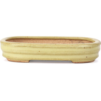  Hattori Tomoyuki 128 mm rectangular yellow bonsai pot by Hattori, Tokoname, Japan