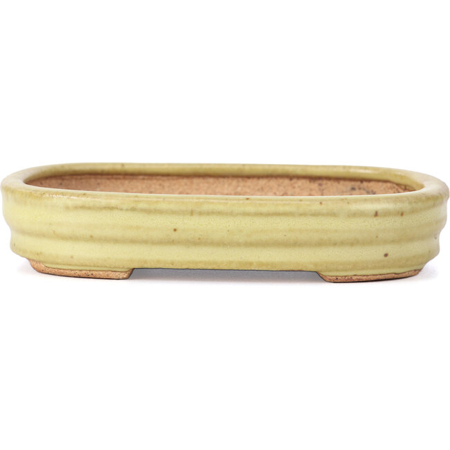 Rectangular yellow bonsai pot by Hattori - 128 x 90 x 25 mm