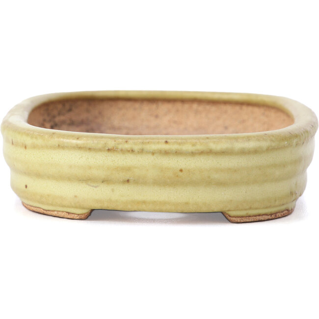 Vaso per bonsai rettangolare giallo di Hattori - 128 x 90 x 25 mm