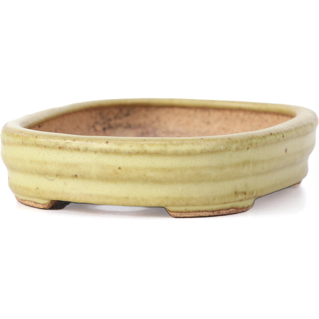 Vaso per bonsai rettangolare giallo di Hattori - 128 x 90 x 25 mm