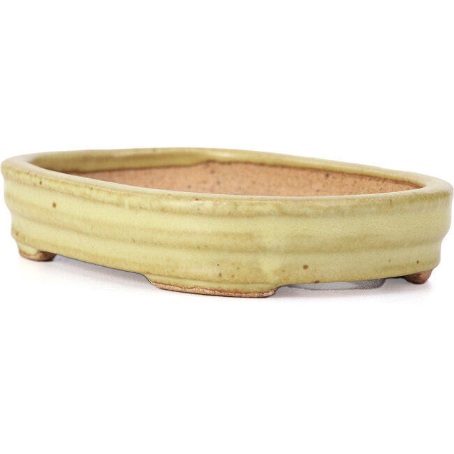 Maceta de bonsái amarilla rectangular de Hattori - 128 x 90 x 25 mm