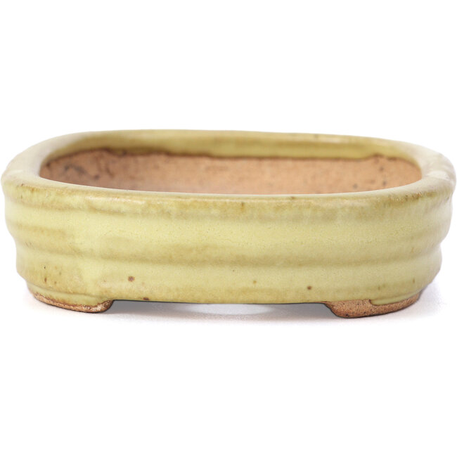 Vaso per bonsai rettangolare giallo di Hattori - 128 x 90 x 25 mm