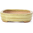 Pot à bonsaï rectangulaire jaune par Hattori - 128 x 90 x 25 mm