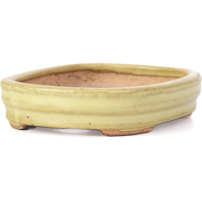 Pot à bonsaï rectangulaire jaune par Hattori - 128 x 90 x 25 mm