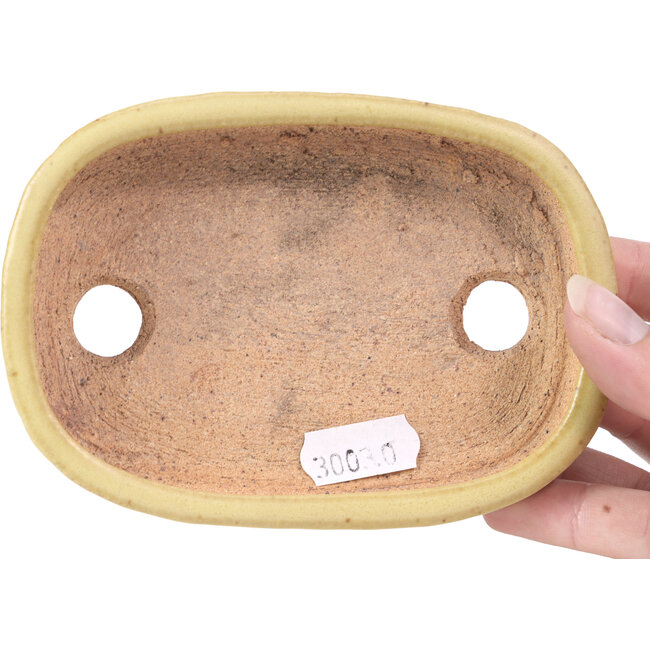 Rechteckige gelbe Bonsaischale von Hattori - 128 x 90 x 25 mm