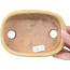 Pot à bonsaï rectangulaire jaune par Hattori - 128 x 90 x 25 mm