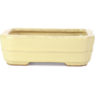  Hattori Tomoyuki 148 mm rectangular yellow bonsai pot by Hattori, Tokoname, Japan