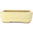 Pot à bonsaï rectangulaire jaune par Hattori - 148 x 113 x 48 mm