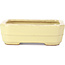 Rectangular yellow bonsai pot by Hattori - 148 x 113 x 48 mm