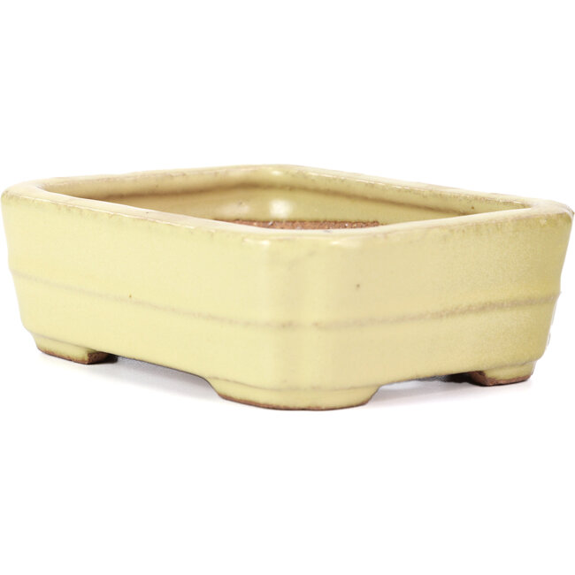 Rectangular yellow bonsai pot by Hattori - 148 x 113 x 48 mm