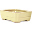 Rectangular yellow bonsai pot by Hattori - 148 x 113 x 48 mm