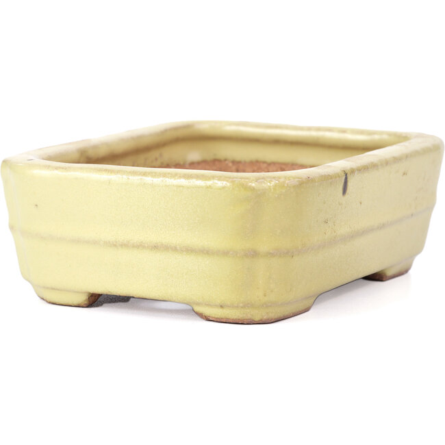 Rectangular yellow bonsai pot by Hattori - 148 x 113 x 48 mm