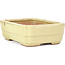 Rectangular yellow bonsai pot by Hattori - 148 x 113 x 48 mm