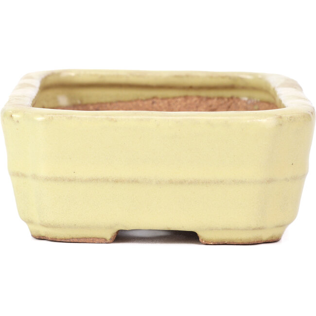 Rectangular yellow bonsai pot by Hattori - 148 x 113 x 48 mm