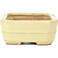 Rectangular yellow bonsai pot by Hattori - 148 x 113 x 48 mm