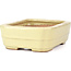 Rectangular yellow bonsai pot by Hattori - 148 x 113 x 48 mm