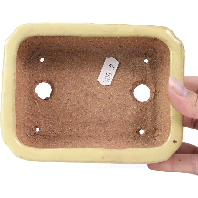 Maceta de bonsái amarilla rectangular de Hattori - 148 x 113 x 48 mm