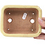 Maceta de bonsái amarilla rectangular de Hattori - 148 x 113 x 48 mm