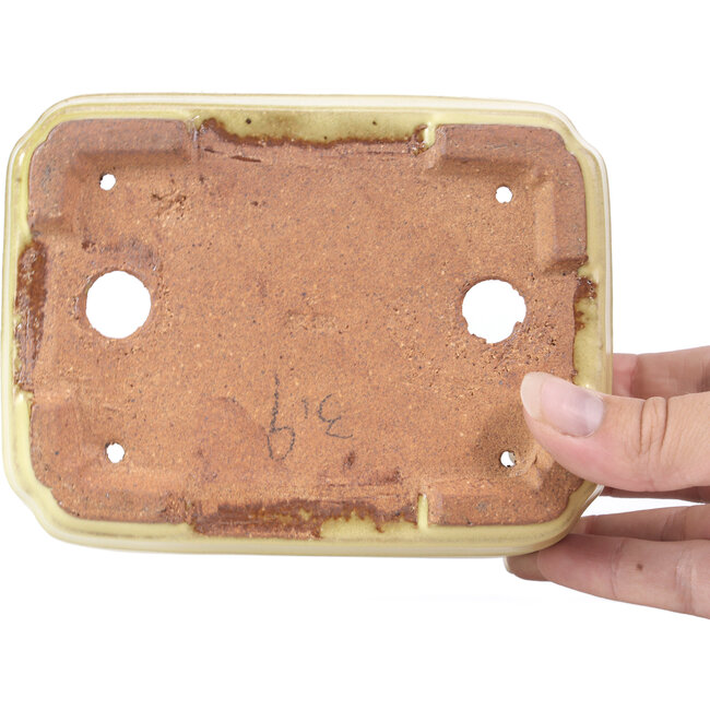 Maceta de bonsái amarilla rectangular de Hattori - 142 x 105 x 43 mm