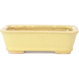  Hattori Tomoyuki 142 mm rectangular yellow bonsai pot by Hattori, Tokoname, Japan