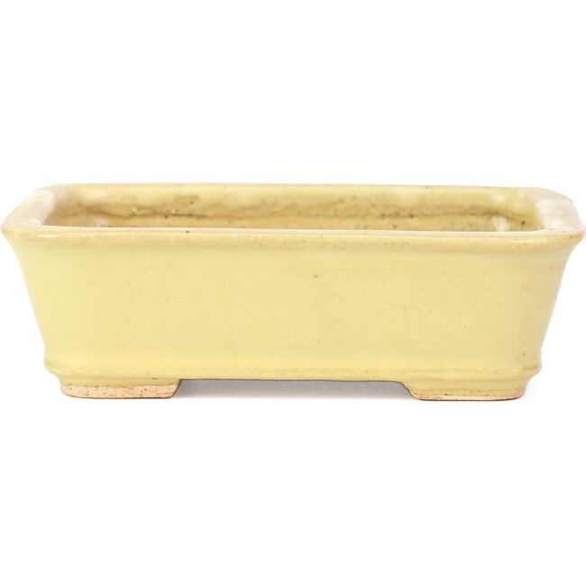 Rectangular yellow bonsai pot by Hattori - 142 x 105 x 43 mm