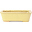 Rectangular yellow bonsai pot by Hattori - 142 x 105 x 43 mm