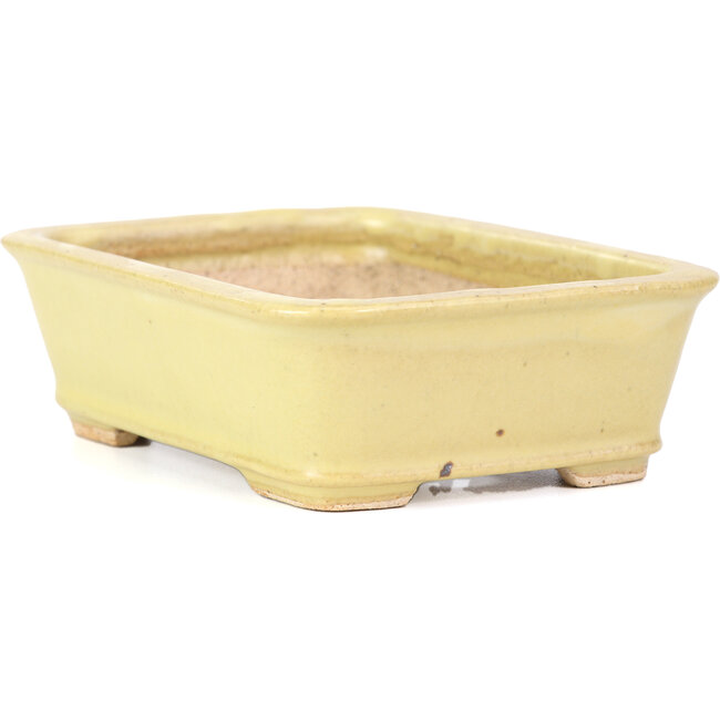 Maceta de bonsái amarilla rectangular de Hattori - 142 x 105 x 43 mm