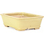 Rectangular yellow bonsai pot by Hattori - 142 x 105 x 43 mm