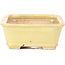 Rectangular yellow bonsai pot by Hattori - 142 x 105 x 43 mm