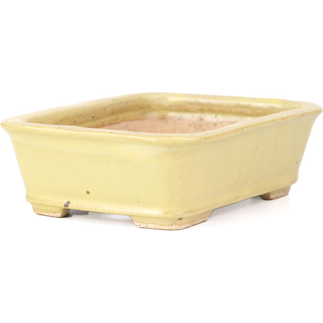 Maceta de bonsái amarilla rectangular de Hattori - 142 x 105 x 43 mm
