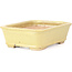 Rectangular yellow bonsai pot by Hattori - 142 x 105 x 43 mm