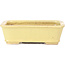 Rectangular yellow bonsai pot by Hattori - 142 x 105 x 43 mm