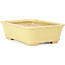 Rectangular yellow bonsai pot by Hattori - 142 x 105 x 43 mm