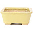 Rectangular yellow bonsai pot by Hattori - 142 x 105 x 43 mm