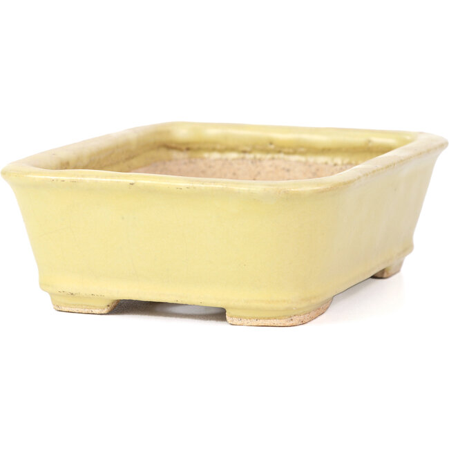 Rectangular yellow bonsai pot by Hattori - 142 x 105 x 43 mm