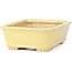 Rectangular yellow bonsai pot by Hattori - 142 x 105 x 43 mm