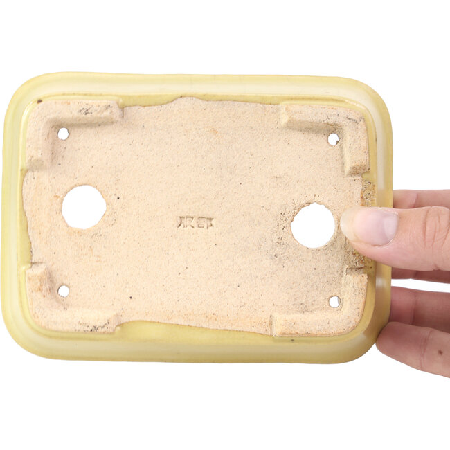 Maceta de bonsái amarilla rectangular de Hattori - 129 x 94 x 34 mm