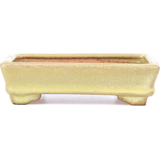 Hattori Tomoyuki 129 mm rectangular yellow bonsai pot by Hattori, Tokoname, Japan