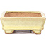 Rectangular yellow bonsai pot by Hattori - 129 x 94 x 34 mm