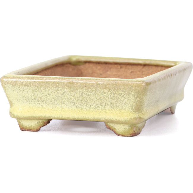 Rechthoekige gele bonsaipot van Hattori - 129 x 94 x 34 mm