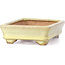 Rectangular yellow bonsai pot by Hattori - 129 x 94 x 34 mm