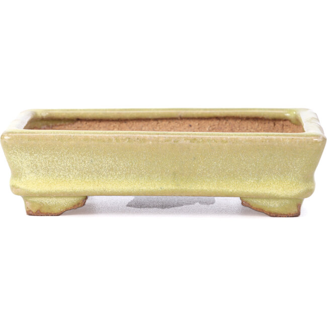 Rectangular yellow bonsai pot by Hattori - 129 x 94 x 34 mm