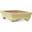 Rectangular yellow bonsai pot by Hattori - 129 x 94 x 34 mm