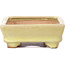 Rectangular yellow bonsai pot by Hattori - 129 x 94 x 34 mm