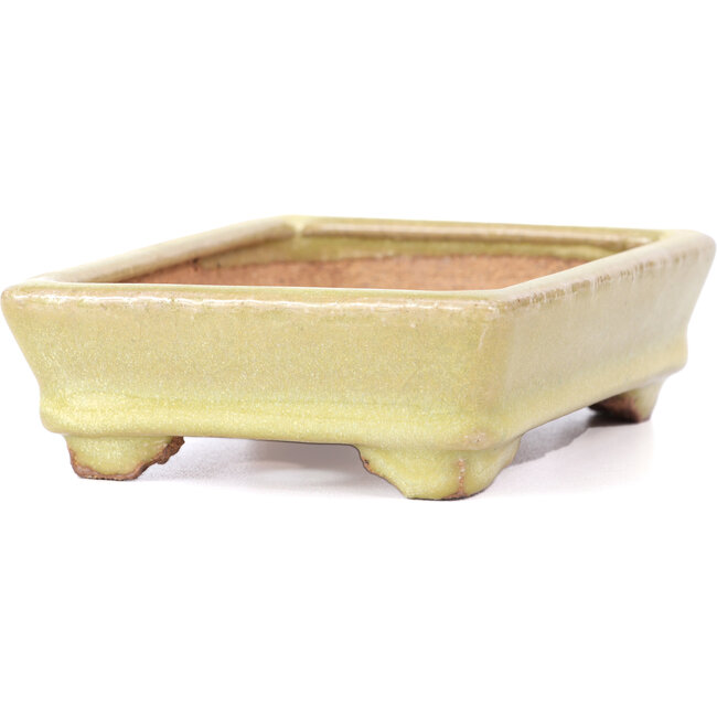 Rectangular yellow bonsai pot by Hattori - 129 x 94 x 34 mm