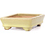 Rectangular yellow bonsai pot by Hattori - 129 x 94 x 34 mm