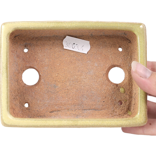 Pot à bonsaï rectangulaire jaune par Hattori - 129 x 94 x 34 mm