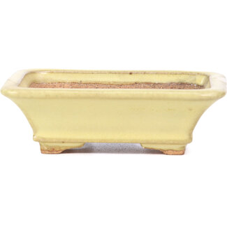 Hattori Tomoyuki 105 mm rectangular yellow bonsai pot by Hattori, Tokoname, Japan