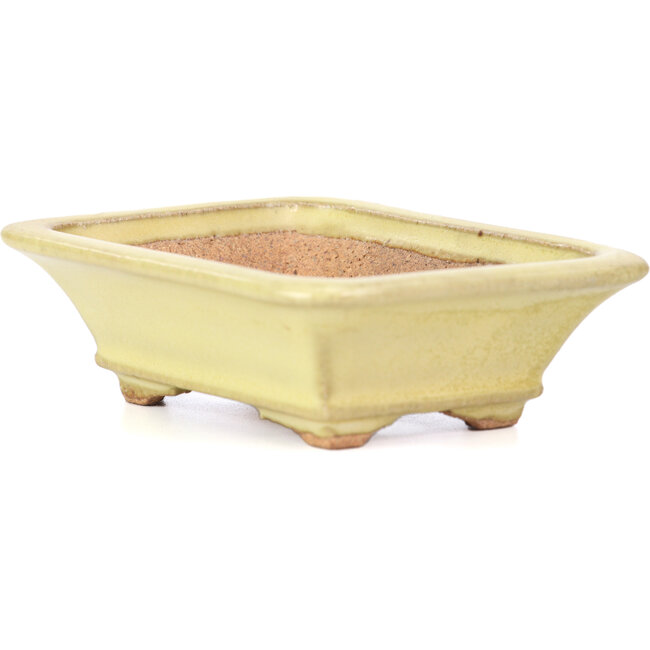 Rectangular yellow bonsai pot by Hattori - 105 x 81 x 33 mm