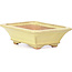 Rectangular yellow bonsai pot by Hattori - 105 x 81 x 33 mm